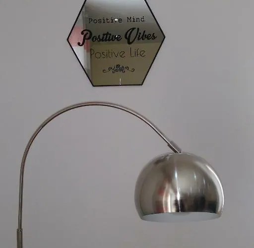 The Orchid 塞拉耶佛