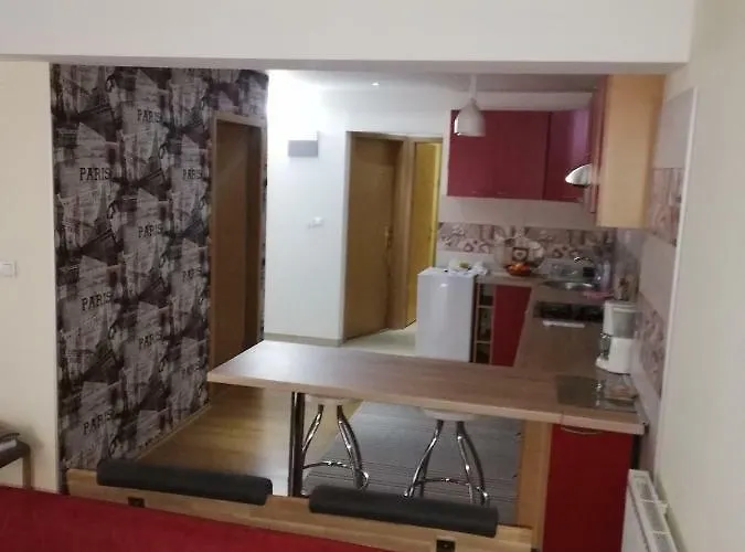 The Orchid 塞拉耶佛